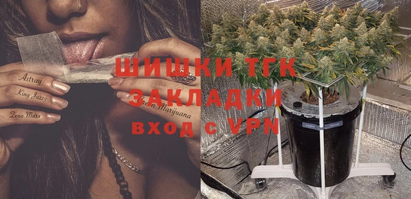 ГАЛЛЮЦИНОГЕННЫЕ ГРИБЫ Осташков
