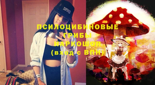 ГАЛЛЮЦИНОГЕННЫЕ ГРИБЫ Осташков
