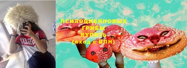 ГАЛЛЮЦИНОГЕННЫЕ ГРИБЫ Осташков