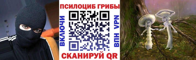 Псилоцибиновые грибы Psilocybine cubensis Купить закладки Сасово
